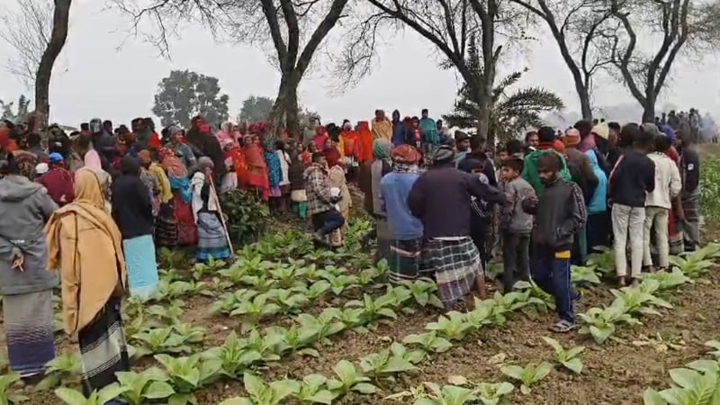 যুবদল  নেতার গলাকাটা মরদেহ উদ্ধার, পাশেই মিলল চাঞ্চল্যকর চিরকুট